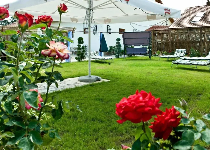 Nyilas Fogado אורחן Nyíregyháza